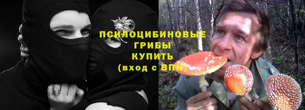 тгк Елизово