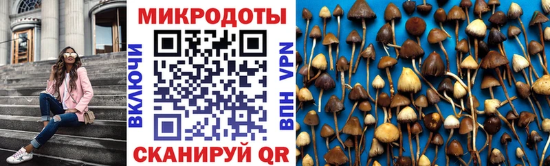 блэк спрут ссылки  Кодинск  Псилоцибиновые грибы Magic Shrooms 